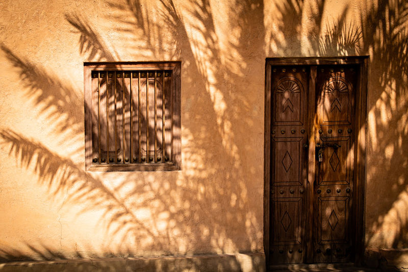 A palm is throwing its beautiful shade on the front of a house in uae, al ain.