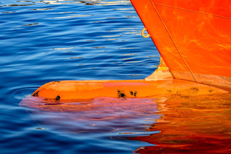 Close-up of orange blue sea