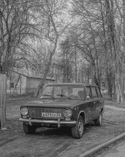 Car parked on road along bare trees