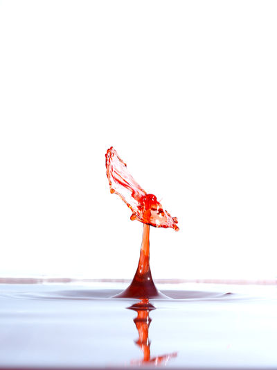 Close-up of red splashing water
