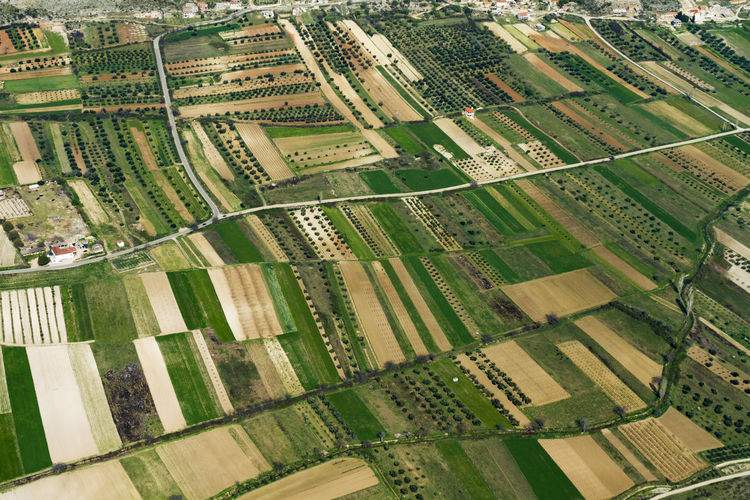 High angle view of agricultural field in city
