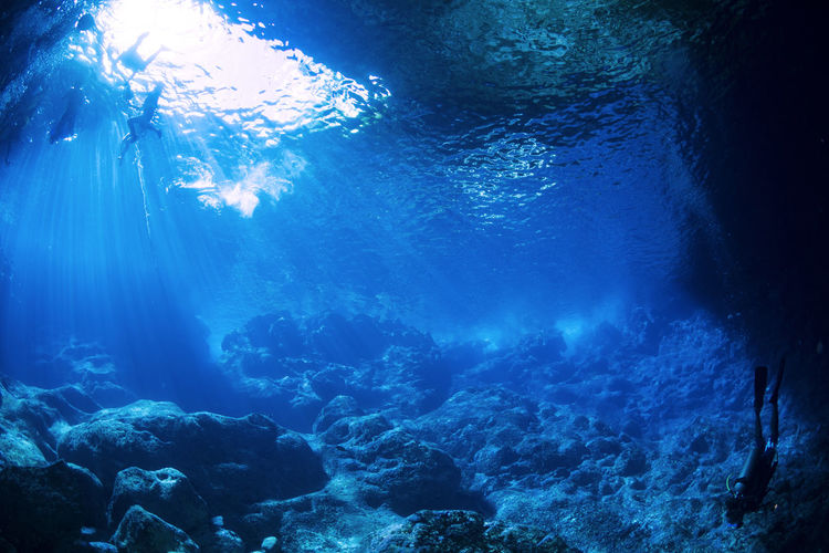 People swimming in sea underwater