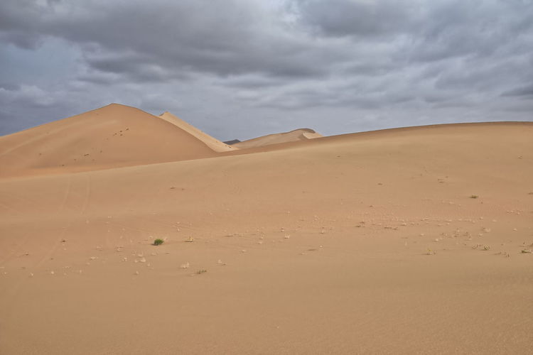 Chains of moving and stationary sand dunes of up to 500 ms.cover the badain jaran desert. china-1062