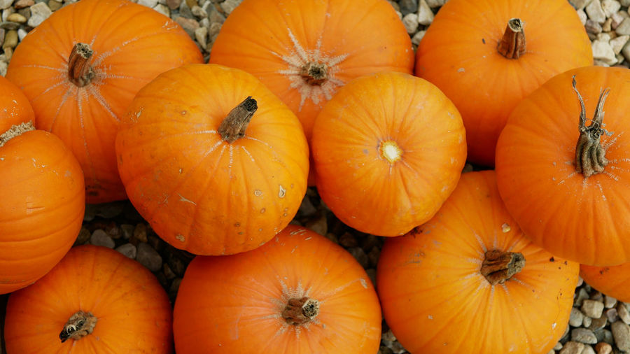 Full frame shot of pumpkins