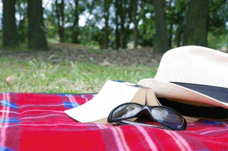 Sunglasses with sunhat and book on picnic blanket in park