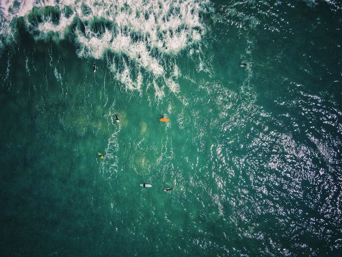 High angle view of surf swimming in sea