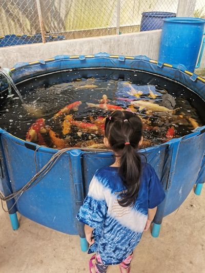 High angle view of girl and fish in water