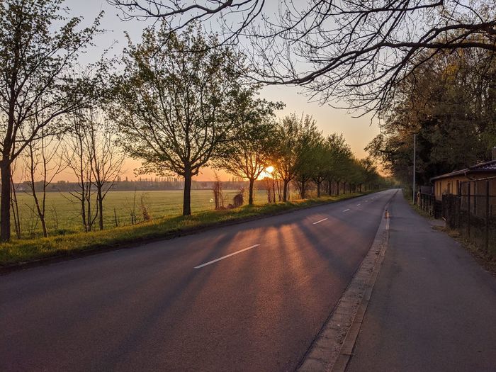 Empty road amidst bare trees against sky during sunset