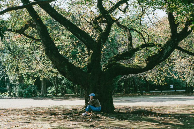 Side view of young woman sitting by tree in forest