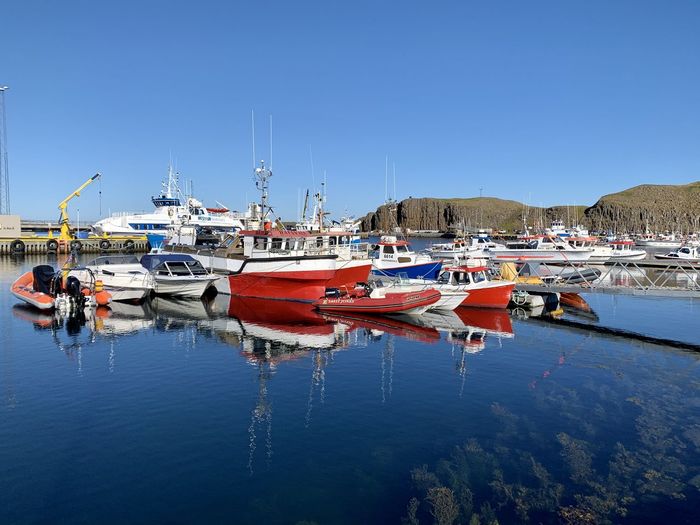 Boats moored in harbor
