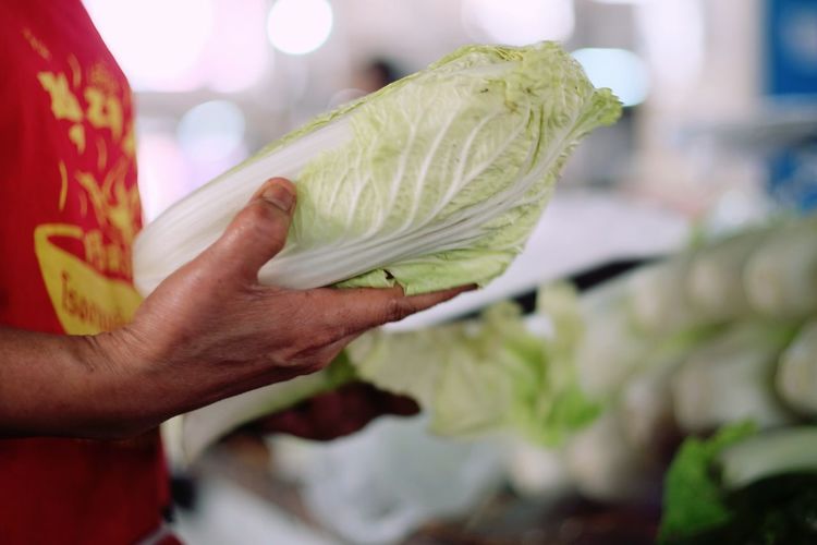 Midsection of man holding bok choy at market
