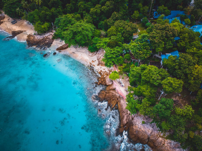 Aerial view of sea shore by forest