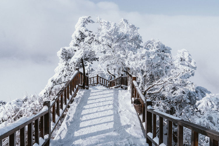 Snow covered footbridge against sky