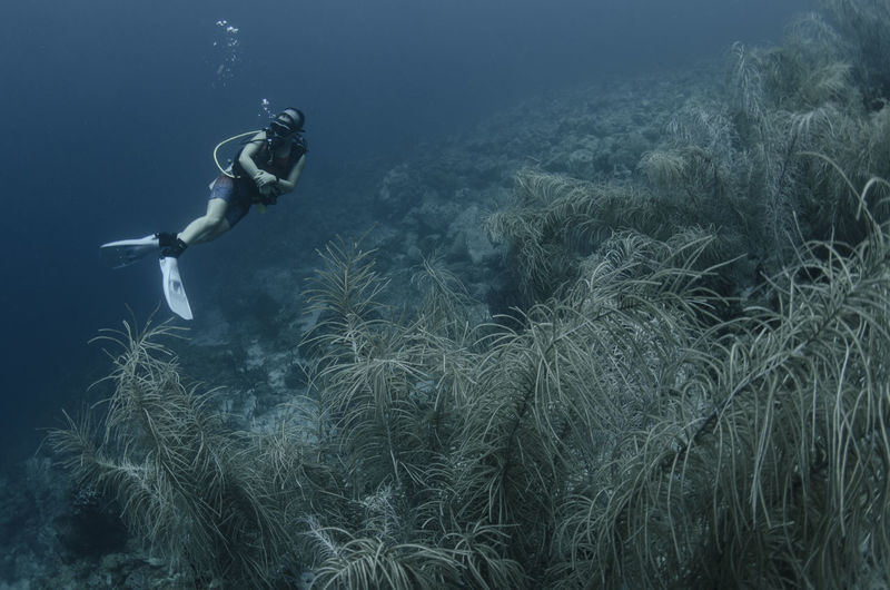 Woman swimming in sea