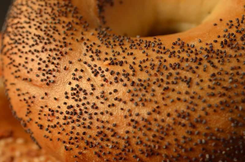 Close-up of bagel