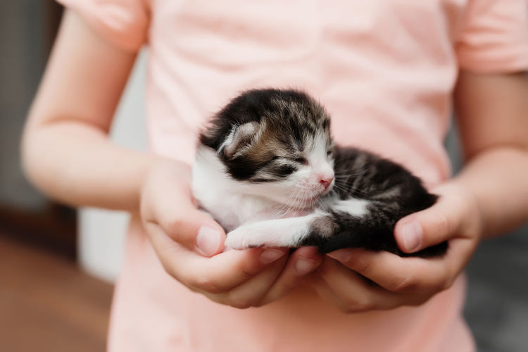 Little girl holding kitten with closed eyes. pet care concept. child playing with newborn cat