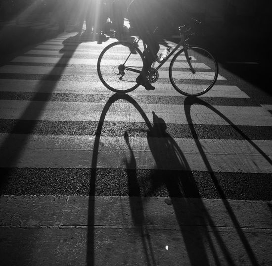 Low section of silhouette man on bicycle