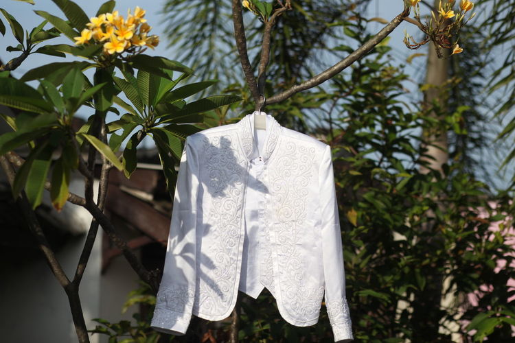 Close-up of clothes drying on plant against trees