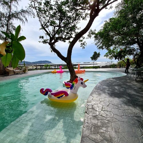 View of toy in swimming pool against trees