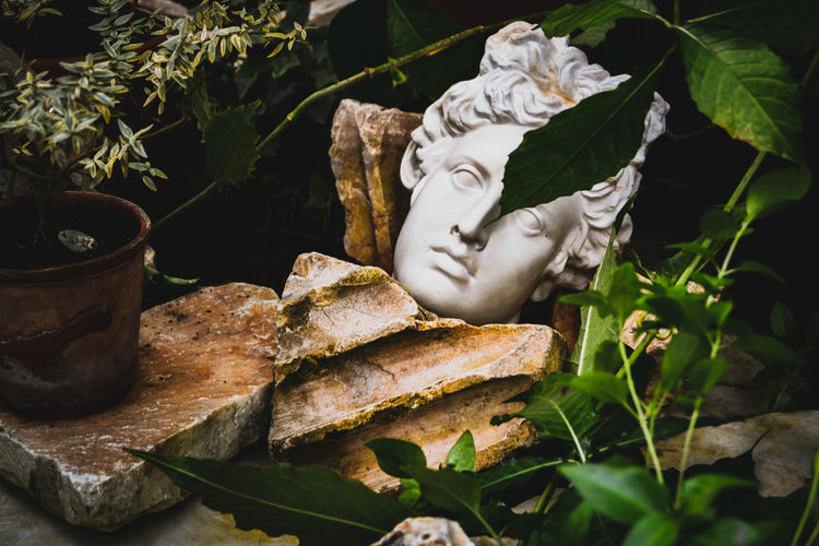 Close-up of statue by plants