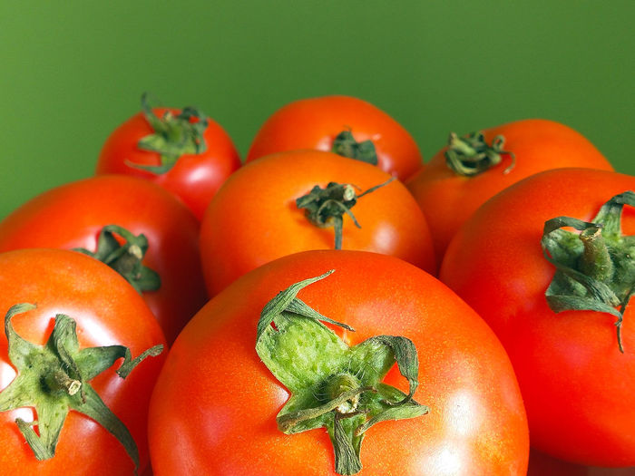 Close-up of tomatoes against orange background