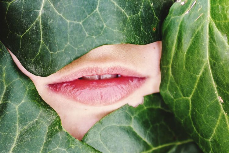 Close-up of woman lips by leaves