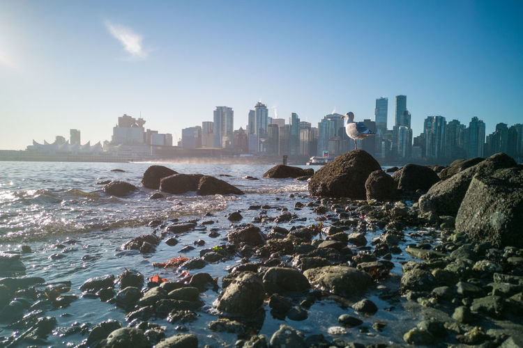 Panoramic view of sea and buildings against sky