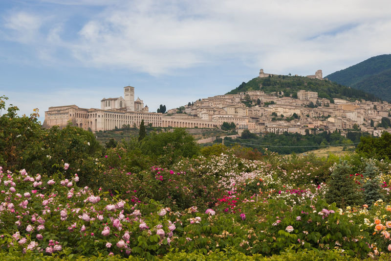 View of flowering plants and buildings against cloudy sky