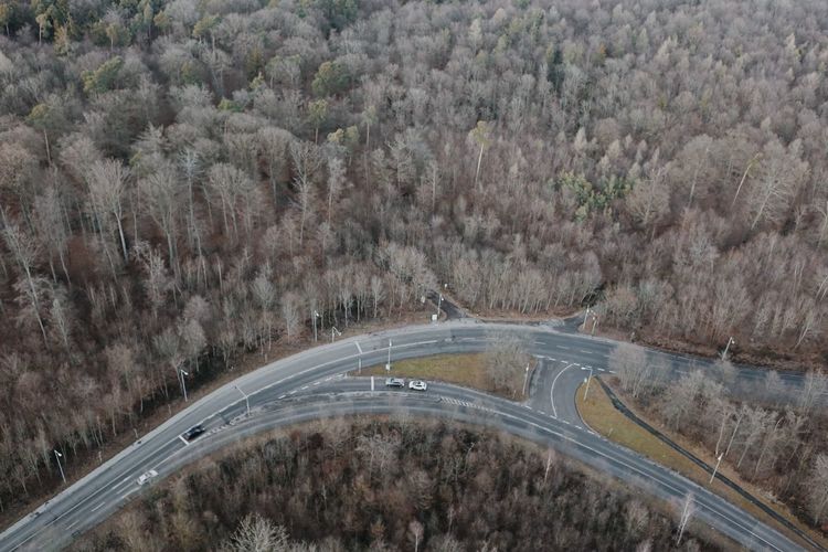 High angle view of road amidst trees