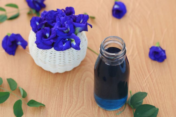High angle view of blue flowers and liquid on table 