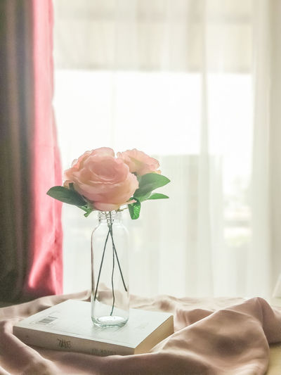 Close-up of rose in vase on table at home