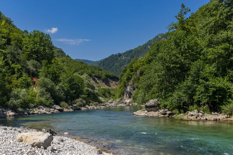 Scenic view of river and trees against sky