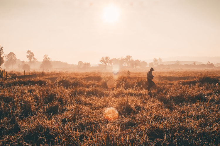 Scenic view of field against sky during sunset