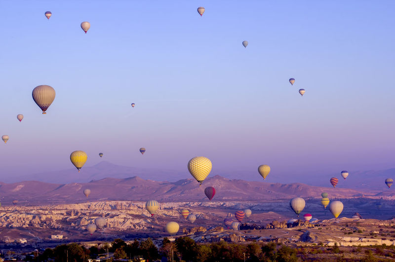 Hot air balloons flying over landscape