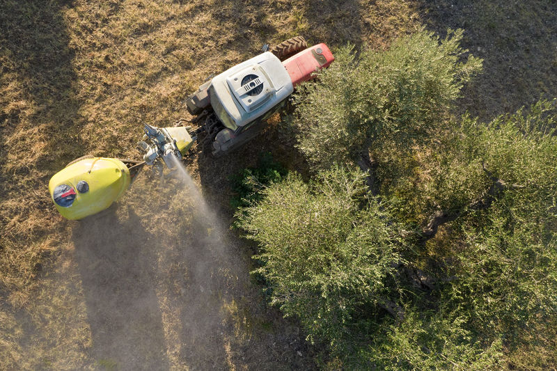 Aerial photographic documentation of the time of the pesticide treatment in an olive plantation