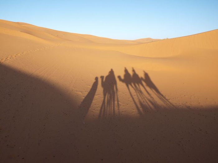 People on sand dune in desert against clear sky
