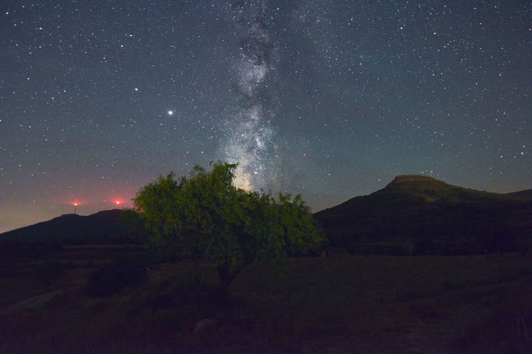 Milky way above a tree, night photography, long exposure