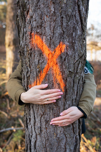 Cropped hand of woman holding tree trunk