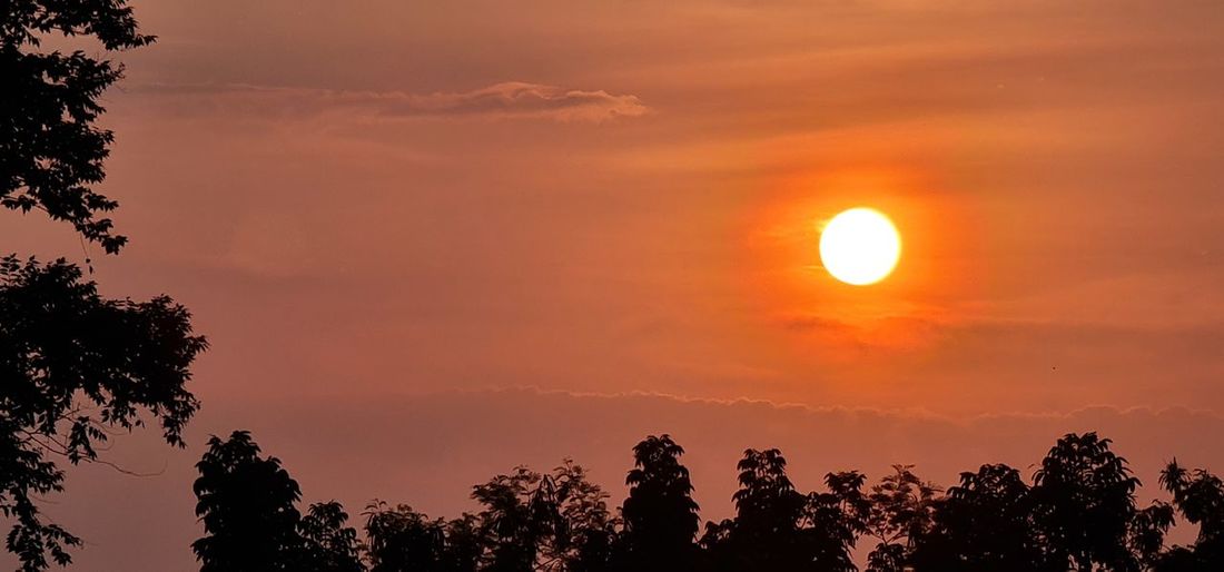 Low angle view of silhouette trees against romantic sky