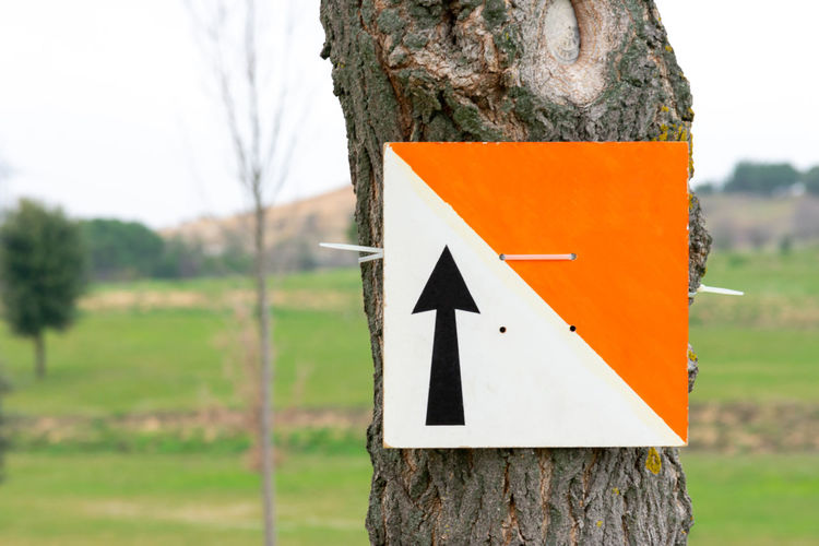 Close-up of road sign on tree trunk