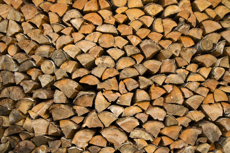 Full frame shot of logs in forest, firewood background and texture. woodem material