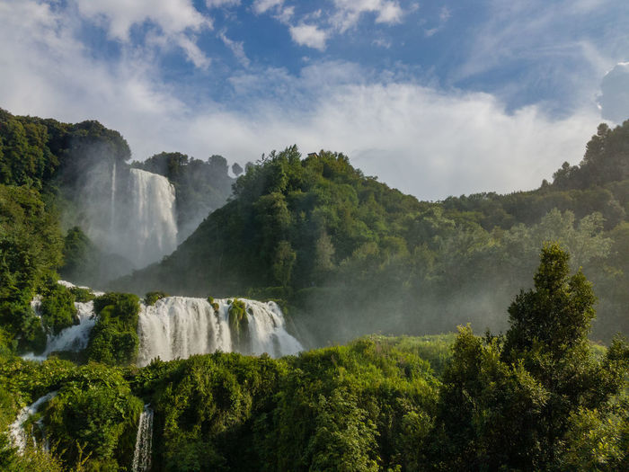 Low angle view of waterfall along lush foliage