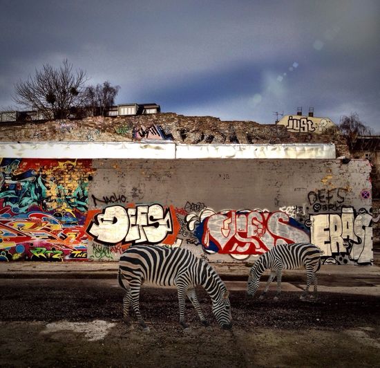 Graffiti on wall