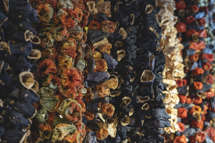 Dried vegetables hanging vertical in istanbul s egyptian  spice bazaar  
