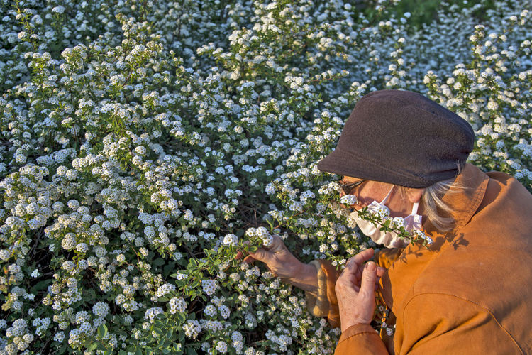 High angle view of senior woman amidst flower field