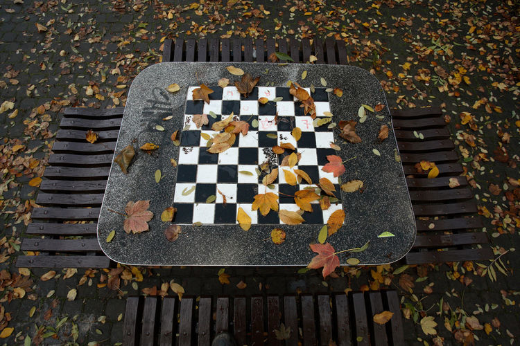 High angle view of chess pieces on autumn leaves
