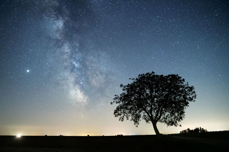 Silhouette tree on field against sky at night