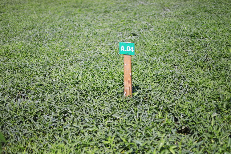 High angle view of sign on field