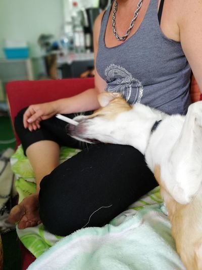Midsection of woman with dog at home