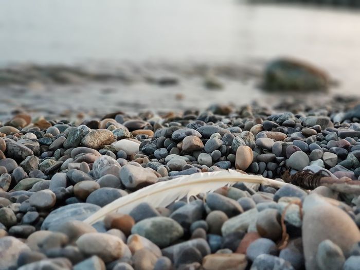 Close-up of stones on beach with feather